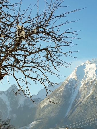 Aussicht Terrasse Winter Steinberg (338x450)